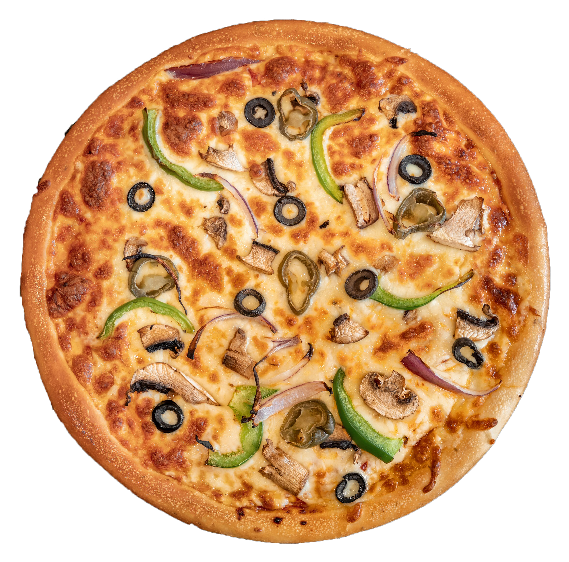 Veg Lover Pizza